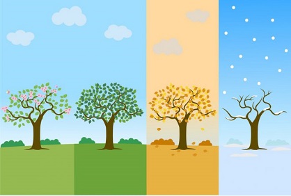 تاثیر فصل بر خواب